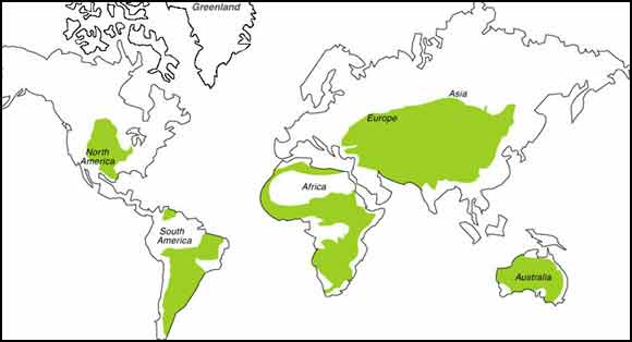 Map Location Climate The Grassland Biome
